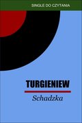 Schadzka - ebook