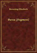 Burza [fragment] - ebook