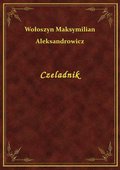 Czeladnik - ebook