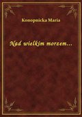 Nad wielkim morzem... - ebook