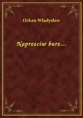 Naprzeciw burz... - ebook