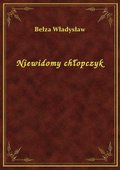 Niewidomy chłopczyk - ebook