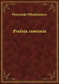 Pralnia sumienia - ebook