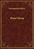 Przed burzą - ebook