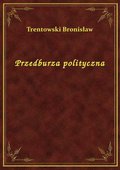 Przedburza polityczna - ebook