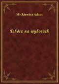 Tchórz na wyborach - ebook