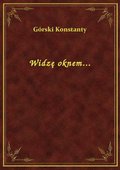 Widzę oknem... - ebook