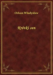 : Krótki sen - ebook