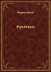 : Pojednanie - ebook