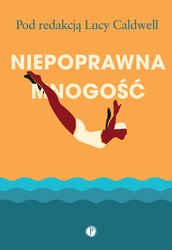 : Niepoprawna mnogość - ebook